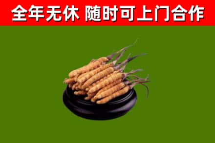 印江烟酒回收冬虫夏草.jpg